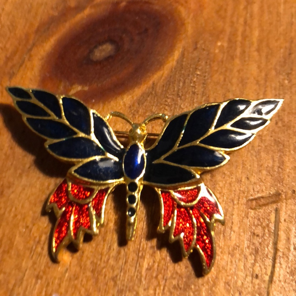Dragonfly pin